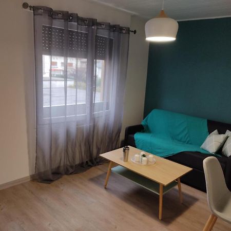 Studio Cosy Proche Du Centre + Parking Gratuit Cluses Bagian luar foto